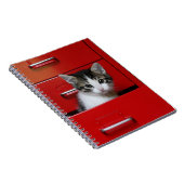 Kätzchen-Spähen Notizblock (Rechte Seite)