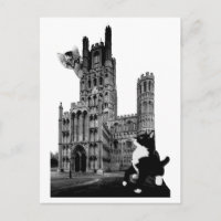 Kätzchen spielen auf der Ely Cathedral