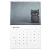Kätzchen spielen mit Ball of Wool Kalender (Mär 2027)