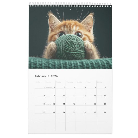 Kätzchen spielen mit Ball of Wool Kalender (Feb 2026)