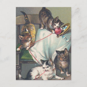 "Kätzchen spielen mit Strickwolle" Postkarte