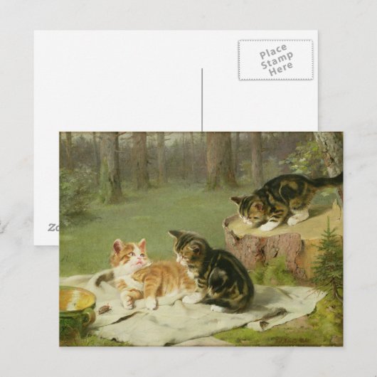 Kätzchen spielen postkarte (Vorne/Hinten)