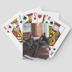 Kätzchen Spielkarten
