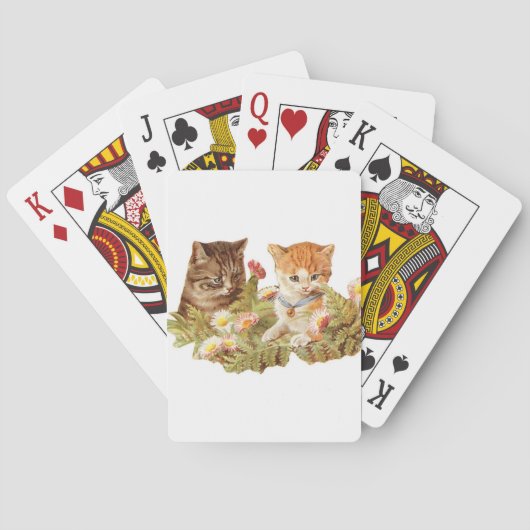 Kätzchen Spielkarten (Rückseite)