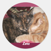 Kätzchen-Sticker zum Knuddeln Runder Aufkleber (Vorderseite)