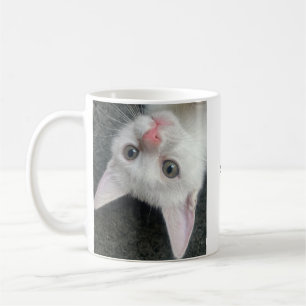 Kätzchen-Tasse, Lustige Tasse