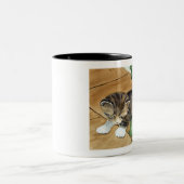 Kätzchen-Tasse Zweifarbige Tasse (Mittel)