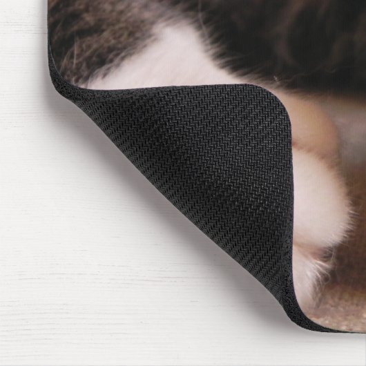 Kätzchen-Tatzen Mousepad (Ecke)