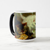 Kätzchen Tee Party Verwandlungstasse (Vorderseite Links)