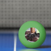 Kätzchen Tischtennisball (Netto)