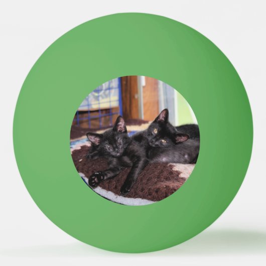 Kätzchen Tischtennisball (Vorderseite)