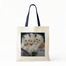 Kätzchen Tote Tasche - Adorable & Herzerwärmung
