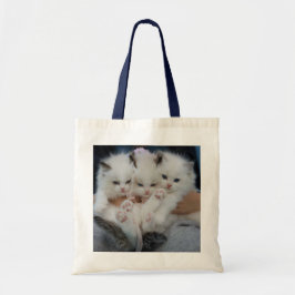 Kätzchen Tote Tasche - Adorable & Herzerwärmung