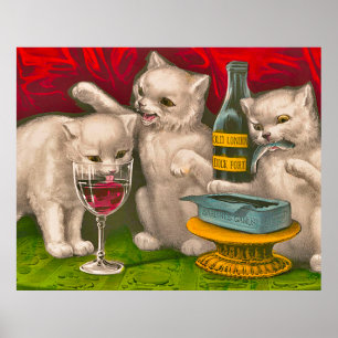 Kätzchen trinken und essen Sardinen Poster