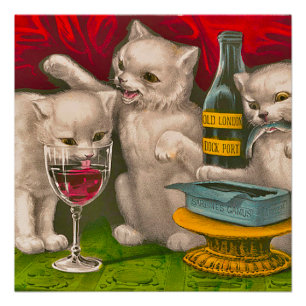 Kätzchen trinken und essen Sardinen Poster