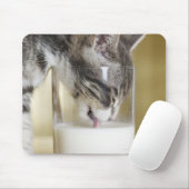 Kätzchen trinkt Milch aus Glas Mousepad (Mit Mouse)