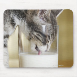 Kätzchen trinkt Milch aus Glas Mousepad