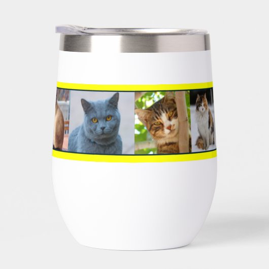 Kätzchen überall (Rechts)