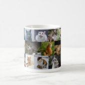 Kätzchen überall kaffeetasse (Mittel)