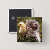 Kätzchen und Baby-Küken Button (Vorne & Hinten)