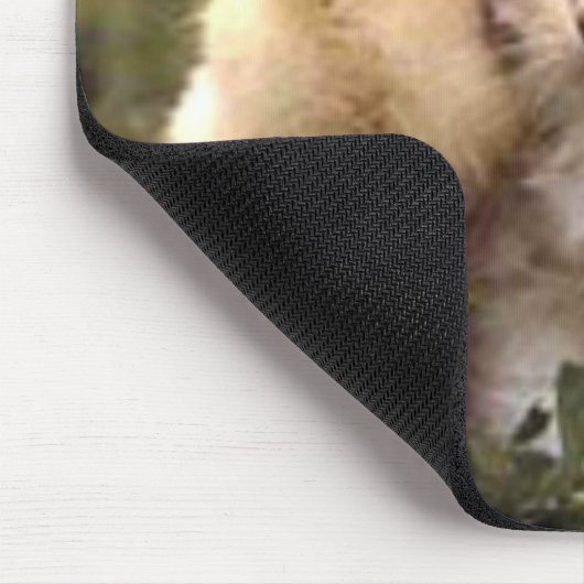 Kätzchen und Baby-Küken Mousepad (Ecke)