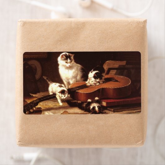 Kätzchen und Gitarre (Insitu)