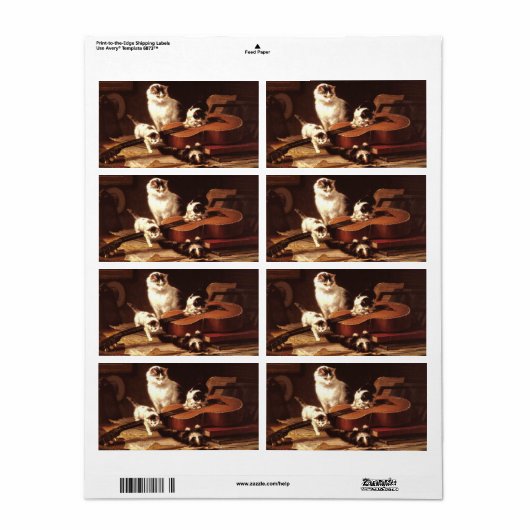 Kätzchen und Gitarre (Vorne)