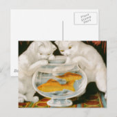 Kätzchen und Goldfisch Postkarte (Vorne/Hinten)