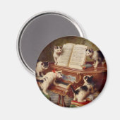 Kätzchen und Klavier Magnet (Vorderseite/Rückseite)