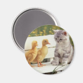 Kätzchen und Küken Magnet (Vorderseite/Rückseite)