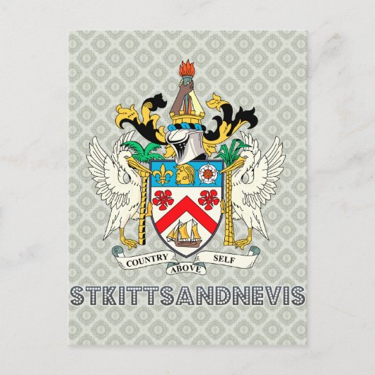 Kätzchen und Nevis Postkarte (Vorderseite)