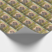 Kätzchen und Schmetterling auf der Wiese Geschenkpapier (Ecke)