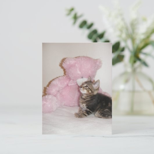 Kätzchen und Teddybärpostkarten Postkarte (Stehend Vorderseite)