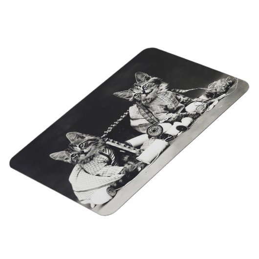 Kätzchen Unfug Stifter 1914 Magnet (Linke Seite)