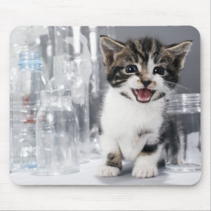 Kätzchen unter gerecycelten Flaschen und Gläsern Mousepad