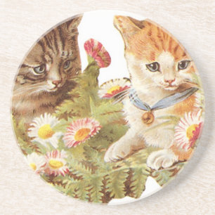 Kätzchen Untersetzer