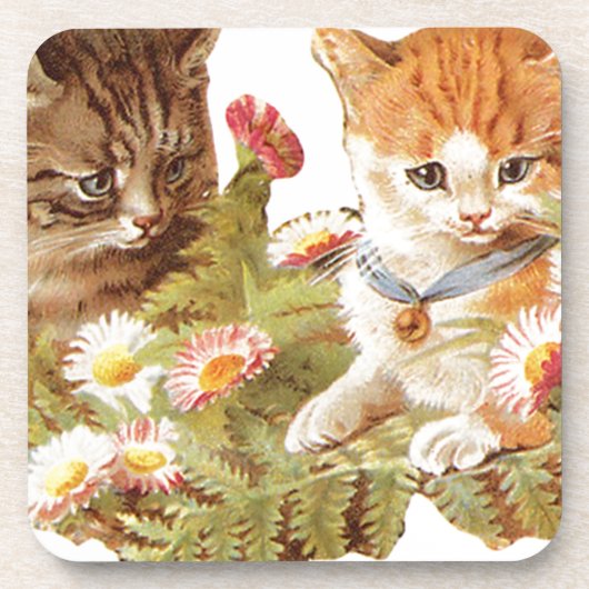 Kätzchen Untersetzer (Vorderseite)