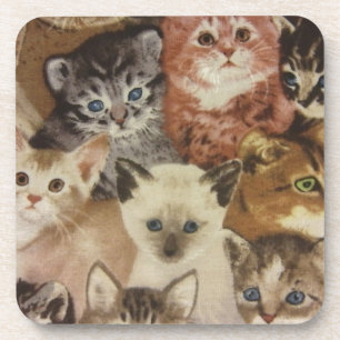 Kätzchen Untersetzer