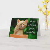 Kätzchen vergaß Geburtstag Karte (Gelbe Blume)