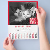 Kätzchen-Verkaufsflyer Flyer (Hand)