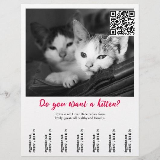 Kätzchen-Verkaufsflyer Flyer (Vorne)