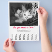 Kätzchen-Verkaufsflyer Flyer (Hand)