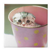 Kätzchen-Verstecken Fliese (Vorderseite)