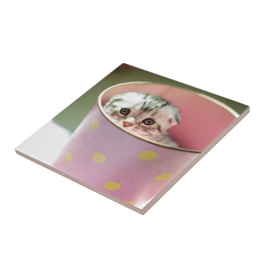 Kätzchen-Verstecken Fliese (Seite)