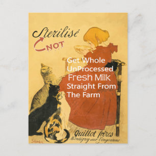 Kätzchen Vintage Milch Poster Postkarte