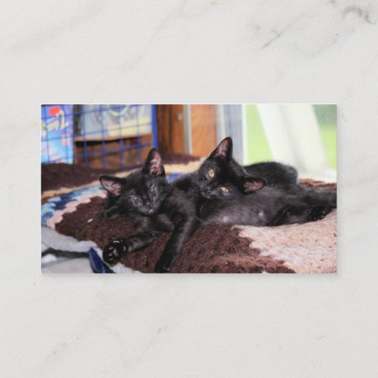 Kätzchen Visitenkarte (Rückseite)