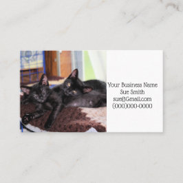 Kätzchen Visitenkarte