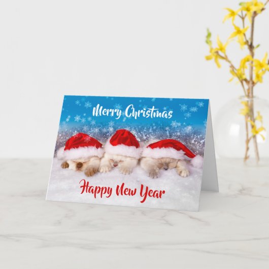 Kätzchen Weihnachtskarten BULK Weihnachtskarten od Karte (Gelbe Blume)