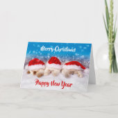 Kätzchen Weihnachtskarten BULK Weihnachtskarten od Karte (Vorderseite)