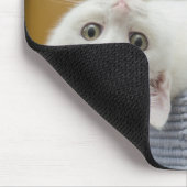 Kätzchen, weiß, Katze Mousepad (Ecke)